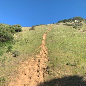 Meet your Posher, Jaqueline